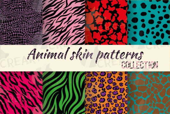 Wild Animals Color Skin Texture Patterns for Creative Projects